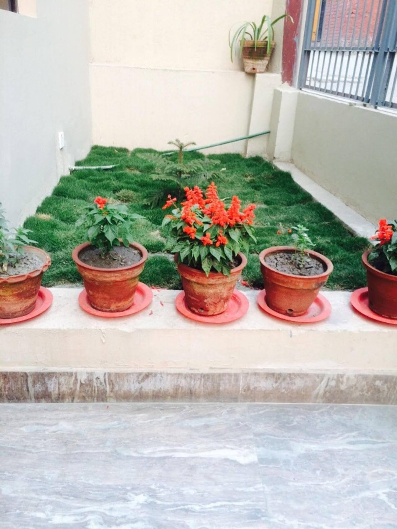 Kathmandu Sunny Hotel Extérieur photo